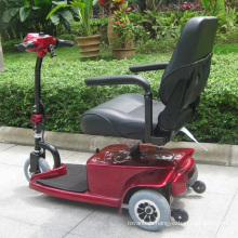 Eco Electric Scooter for Disabled and Elderly (DL24250-1)